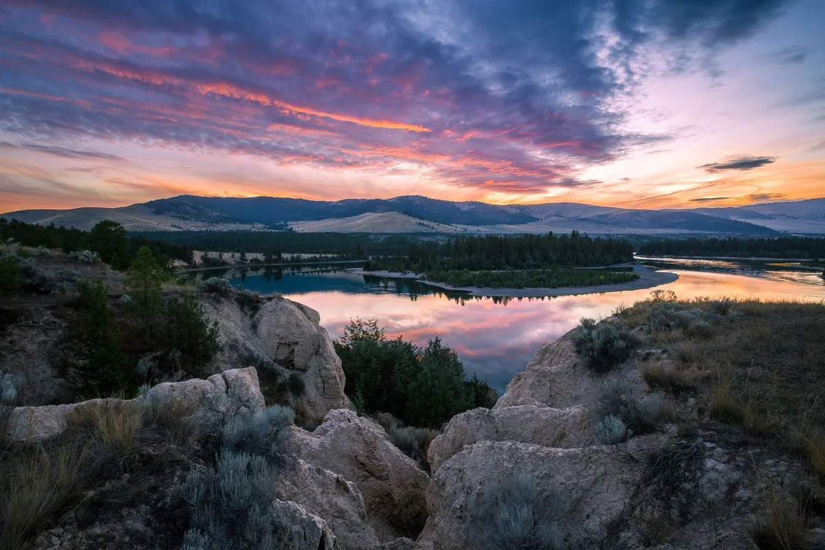 brett larson — US news