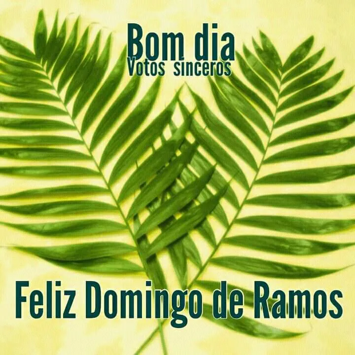feliz domingo de ramos — US news