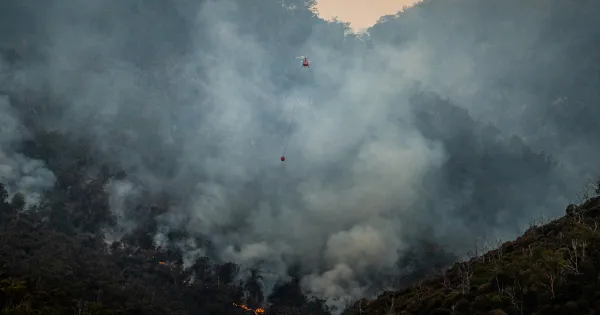 fire weather watch — US news