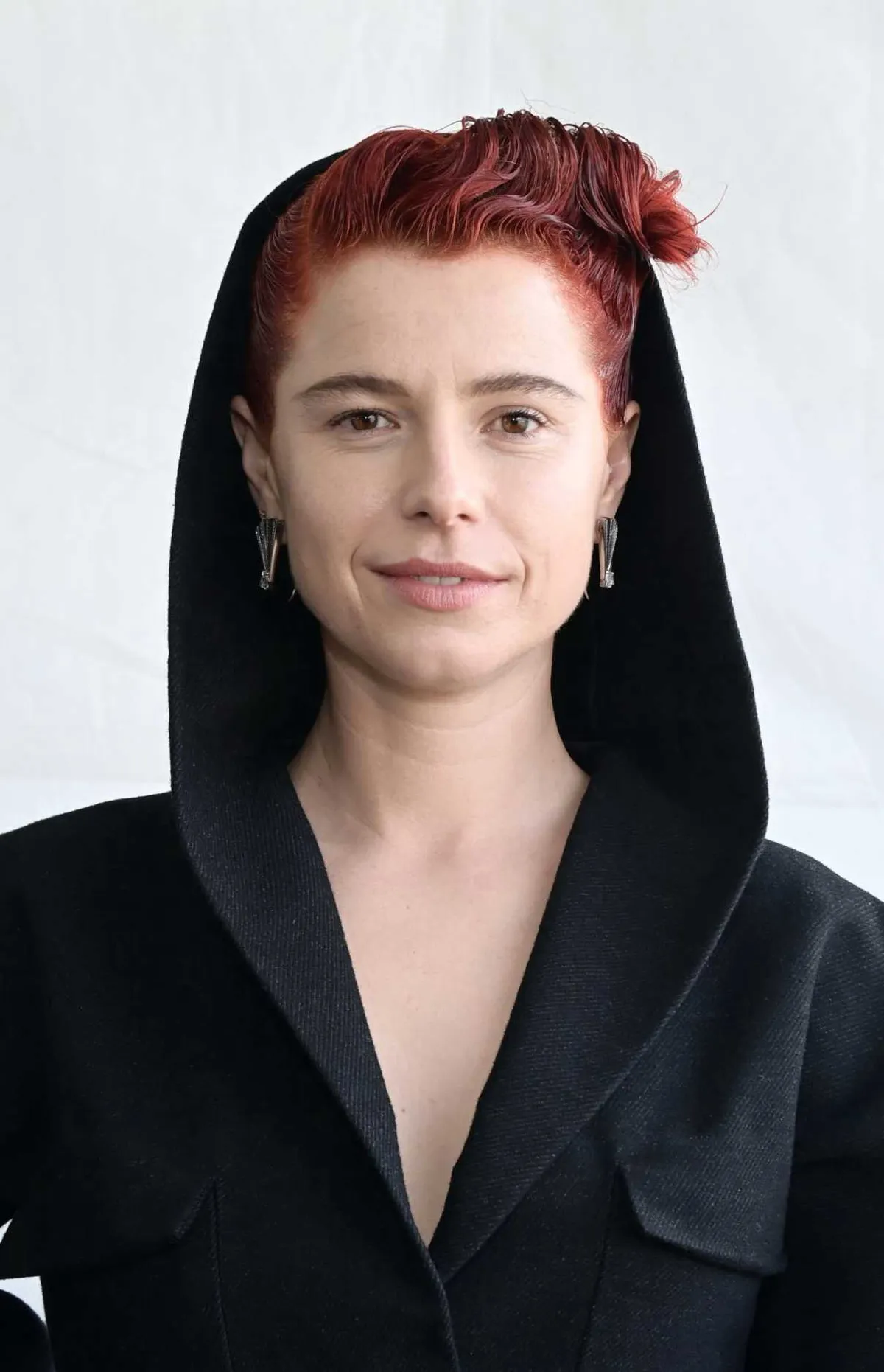 jessie buckley cats — US news