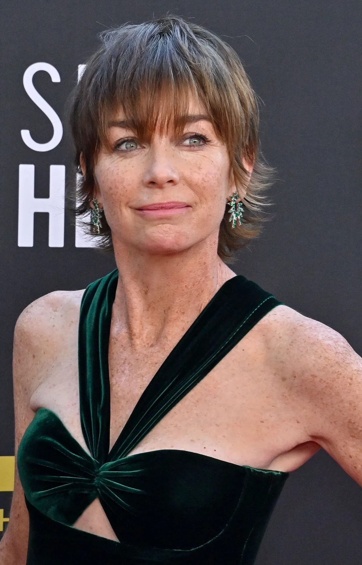 julianne nicholson — US news