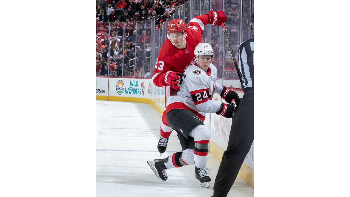 senators vs red wings — US news