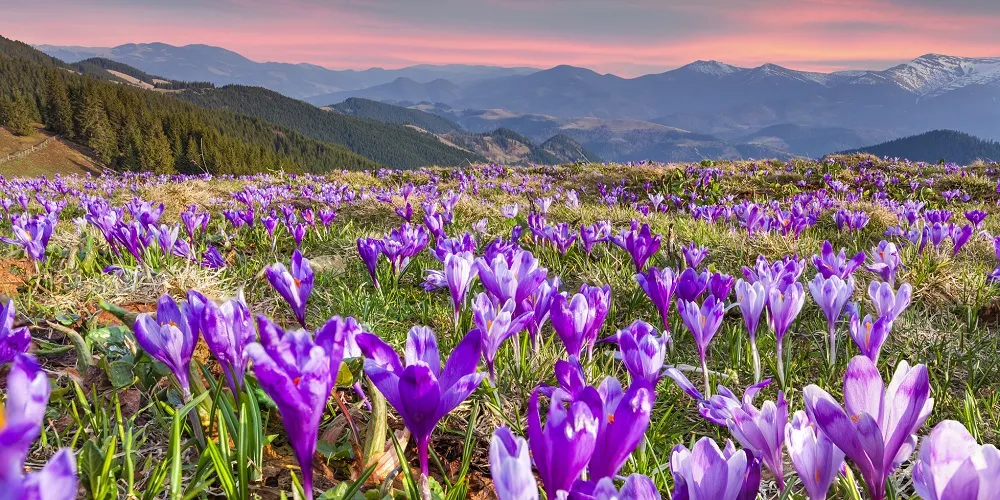 spring equinox — US news