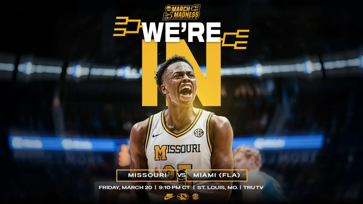 st louis basketball — US news