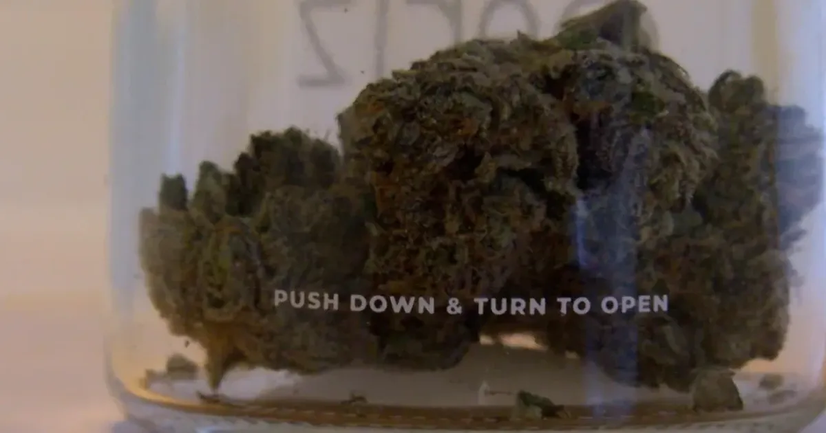 legalization — US news