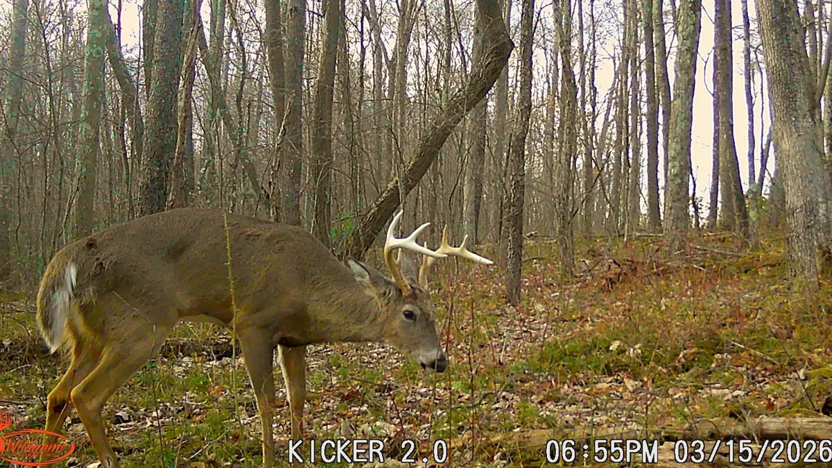 pa game commission 2026-27 seasons — US news