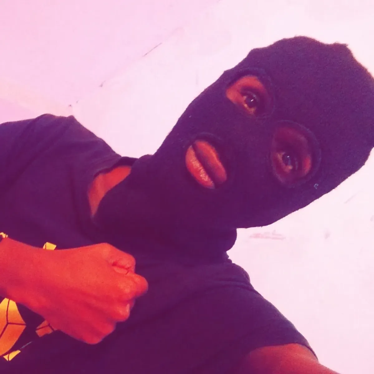 stallion — US news