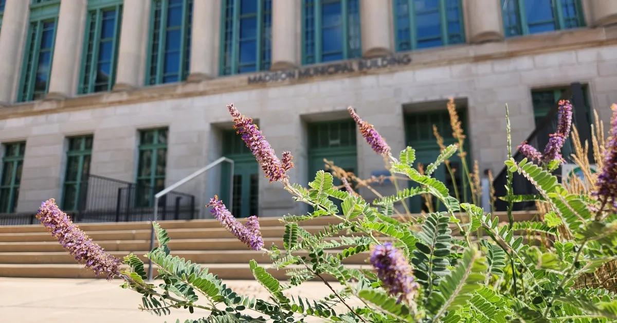 tornado warning wisconsin — US news