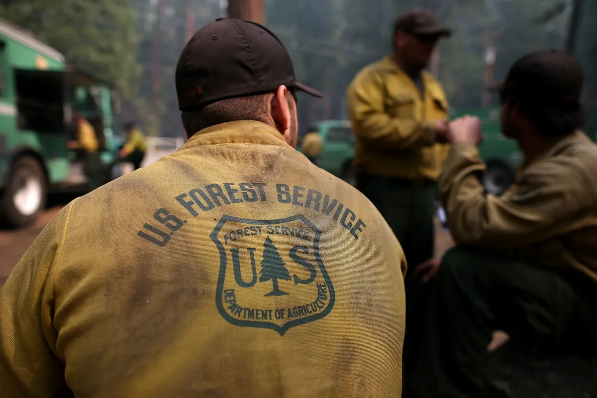 us forest service — US news