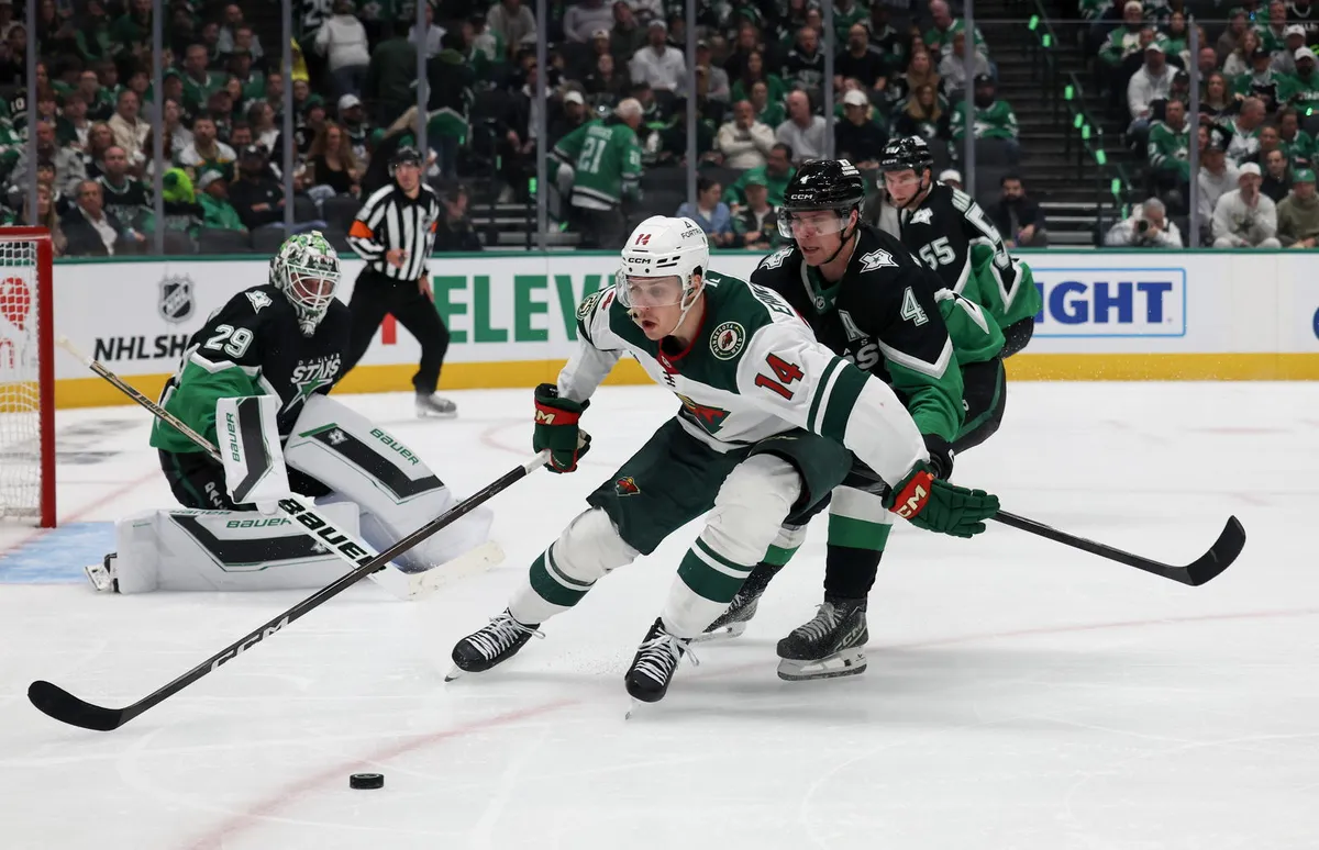 wild vs stars — US news