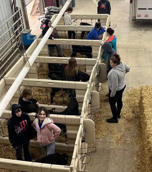 64 calves stolen mercer county — US news