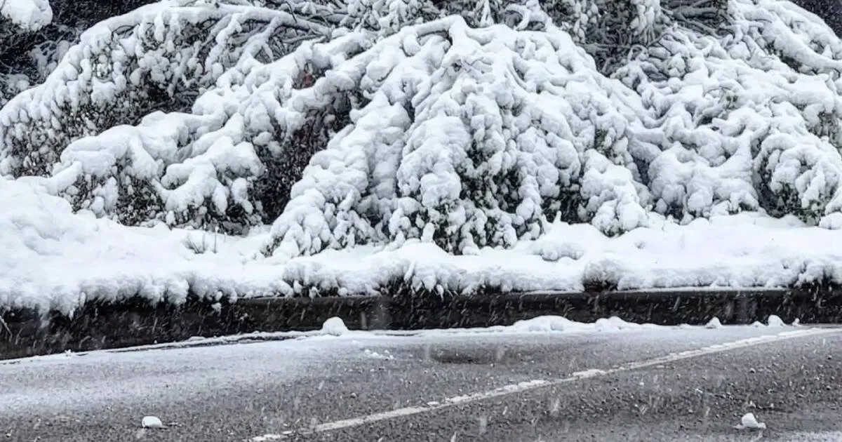 colorado snow school closures — US news