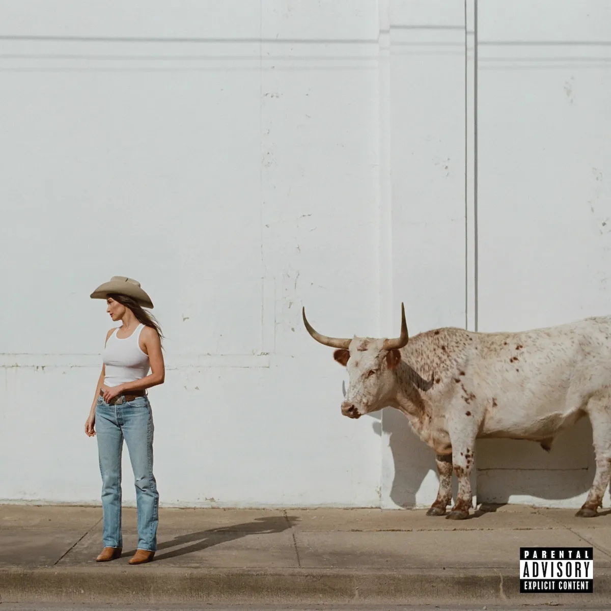 kacey musgraves album review — US news