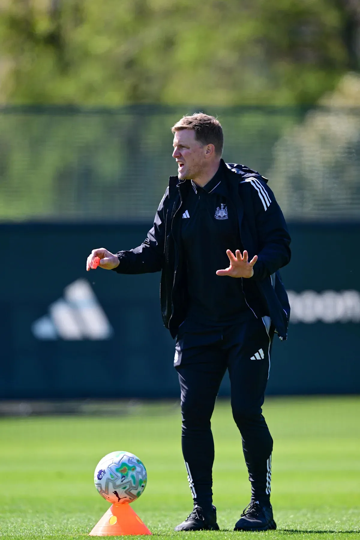 newcastle vs brighton — US news