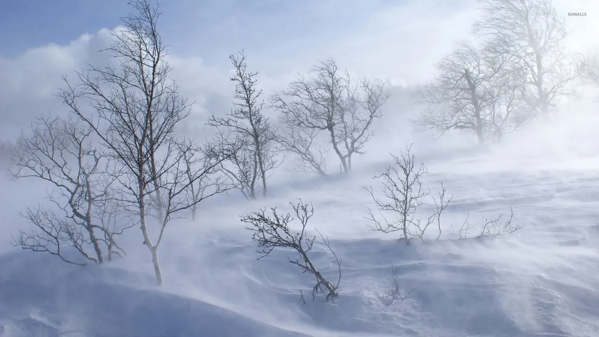 snow storm — US news